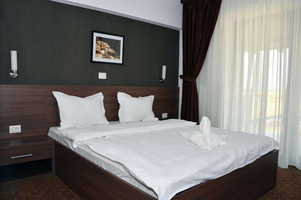 Pensiunea Sara Focsani Room photo